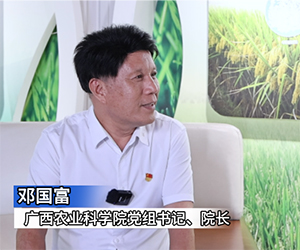 專訪：廣西農(nóng)科院黨組書記、院長鄧國富”
